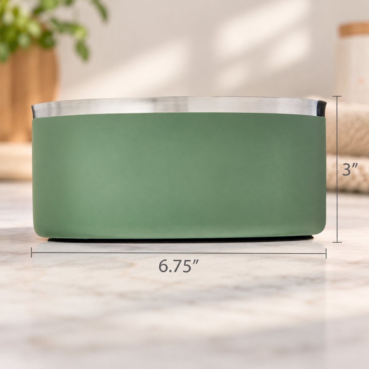 Double-Wall Stainless Steel Pet Bowl