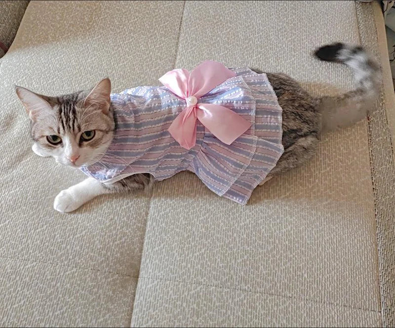 Striped Plaid Pet Dress