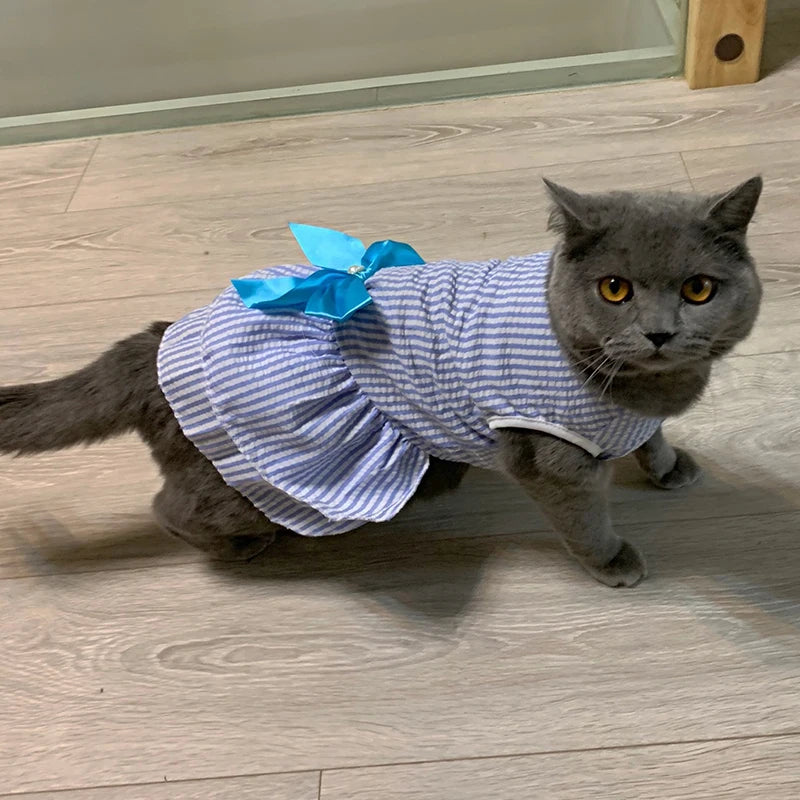 Striped Plaid Pet Dress