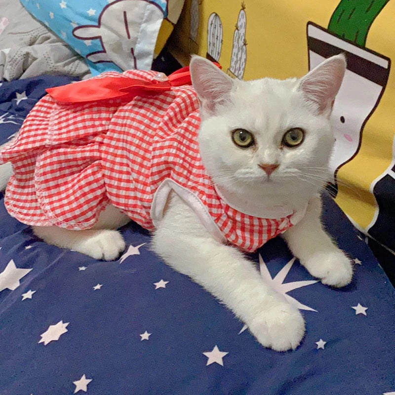 Striped Plaid Pet Dress